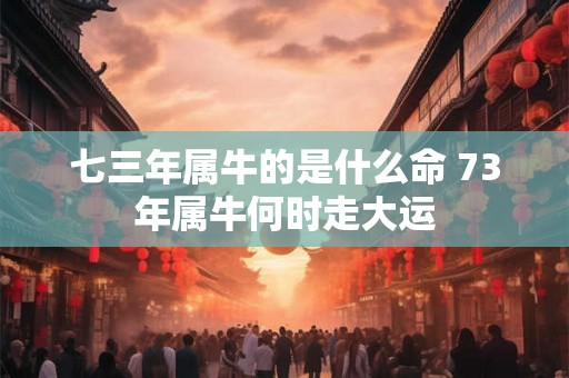 七三年属牛的是什么命 73年属牛何时走大运