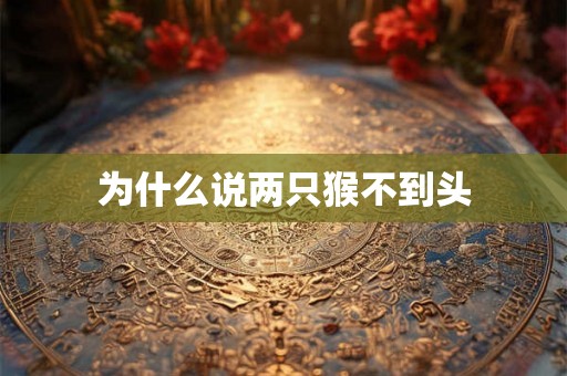 为什么说两只猴不到头 为什么说两只猴不到头