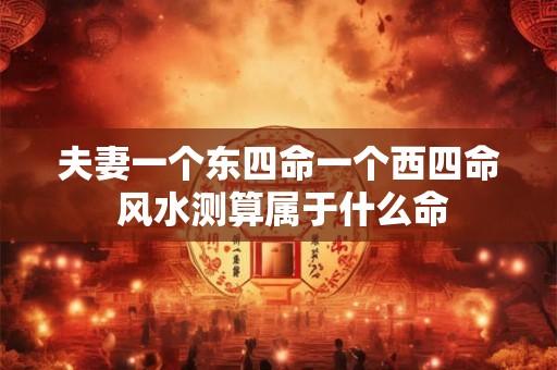 夫妻一个东四命一个西四命 风水测算属于什么命 夫妻一个东四命一个西四命 风水测算属于什么命