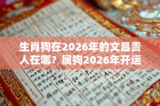 生肖狗在2026年的文昌贵人在哪？属狗2026年开运吉位？