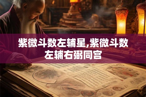 紫微斗数左辅星,紫微斗数左辅右弼同宫
