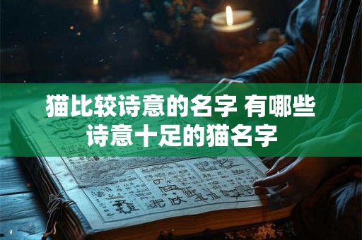 猫比较诗意的名字 有哪些诗意十足的猫名字