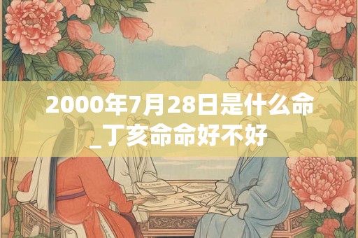 2000年7月28日是什么命_丁亥命命好不好