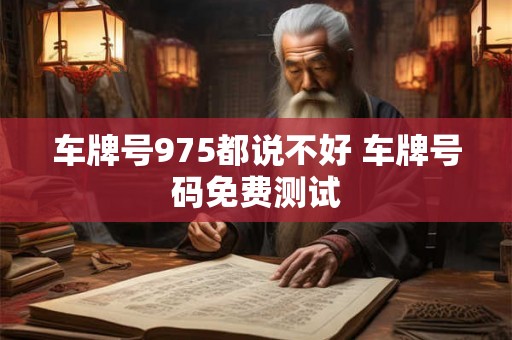 车牌号975都说不好 车牌号码免费测试