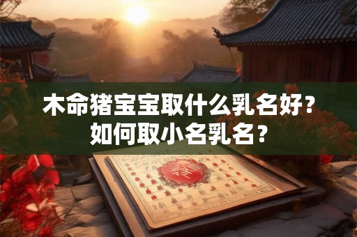木命猪宝宝取什么乳名好？如何取小名乳名？