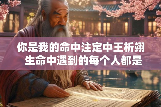 你是我的命中注定中王析翊  生命中遇到的每个人都是命中注定