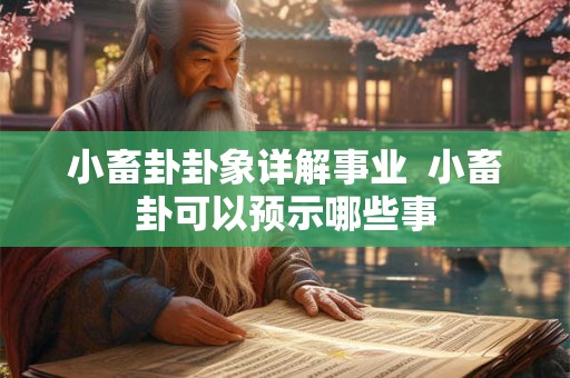 小畜卦卦象详解事业 小畜卦可以预示哪些事 小畜卦卦象详解事业 小畜卦可以预示哪些事