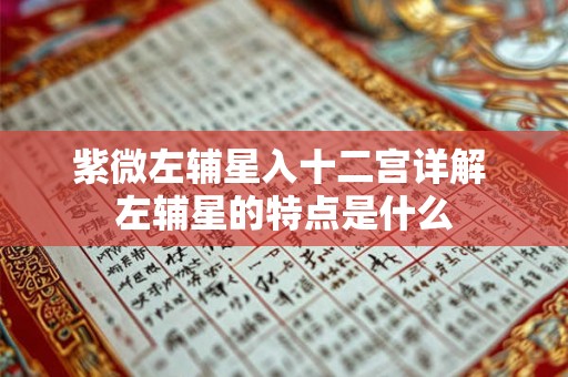 紫微左辅星入十二宫详解 左辅星的特点是什么