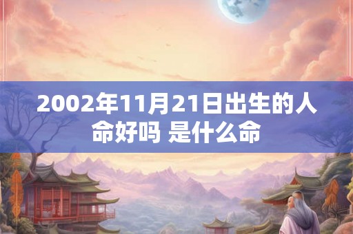 2002年11月21日出生的人命好吗 是什么命