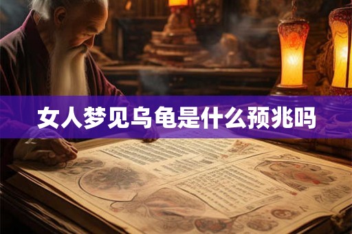 女人梦见乌龟是什么预兆吗 女人梦见乌龟是什么预兆吗