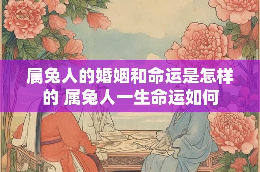 属兔人的婚姻和命运是怎样的 属兔人一生命运如何