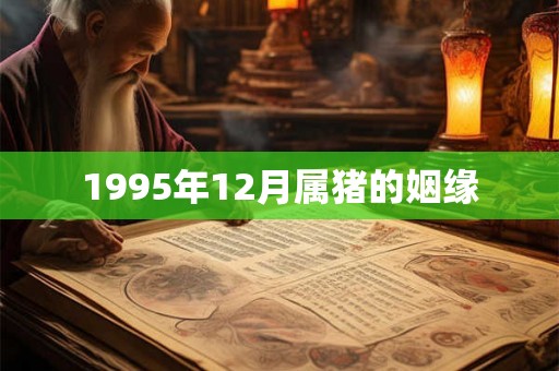 1995年12月属猪的姻缘
