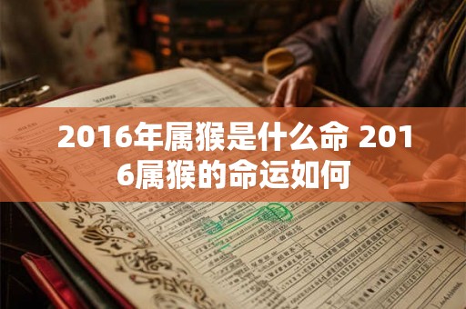 2016年属猴是什么命 2016属猴的命运如何