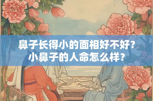 鼻子长得小的面相好不好?小鼻子的人命怎么样? 鼻子长得小的面相好不好?小鼻子的人命怎么样?