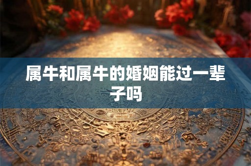 属牛和属牛的婚姻能过一辈子吗