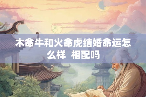 木命牛和火命虎结婚命运怎么样  相配吗