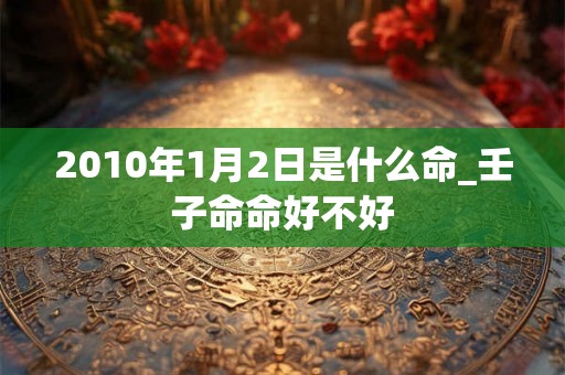 2010年1月2日是什么命_壬子命命好不好