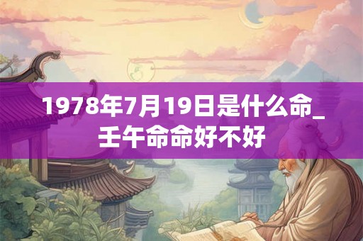 1978年7月19日是什么命_壬午命命好不好
