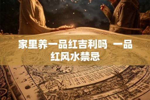 家里养一品红吉利吗 一品红风水禁忌 家里养一品红吉利吗 一品红风水禁忌