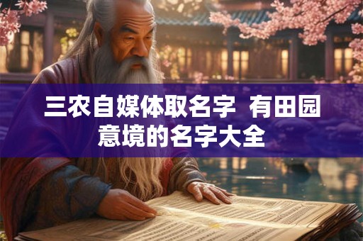 三农自媒体取名字  有田园意境的名字大全