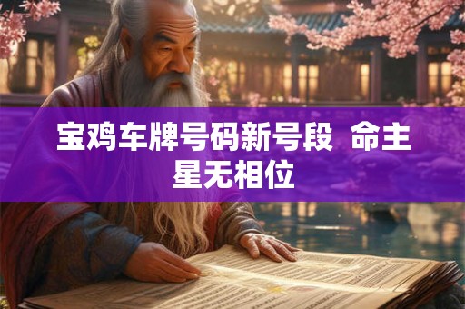 宝鸡车牌号码新号段  命主星无相位