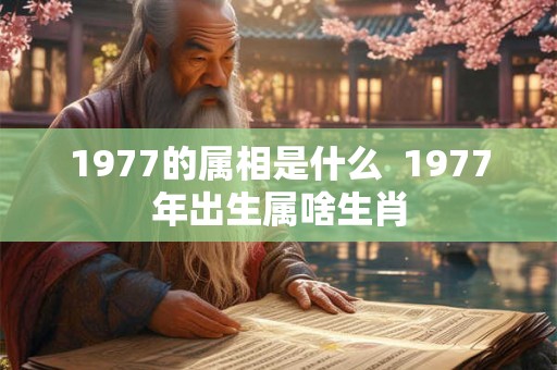 1977的属相是什么  1977年出生属啥生肖