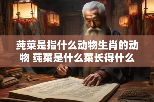 莼菜是指什么动物生肖的动物 莼菜是什么菜长得什么样