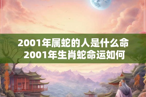 2001年属蛇的人是什么命 2001年生肖蛇命运如何