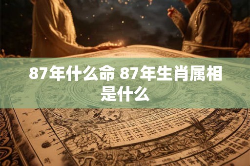 87年什么命 87年生肖属相是什么