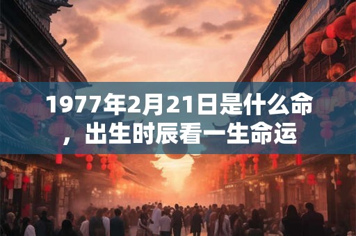1977年2月21日是什么命，出生时辰看一生命运