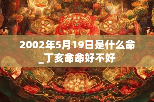 2002年5月19日是什么命_丁亥命命好不好