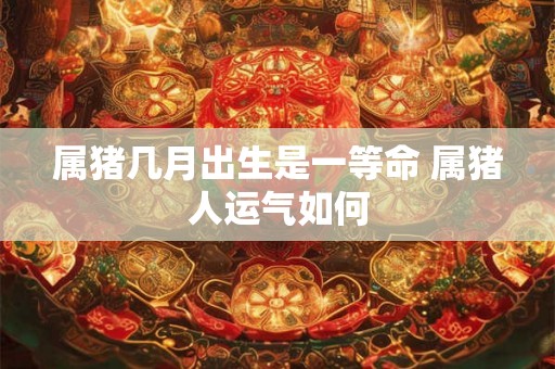 属猪几月出生是一等命 属猪人运气如何