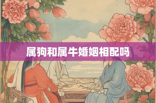 属狗和属牛婚姻相配吗