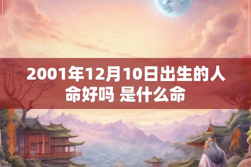 2001年12月10日出生的人命好吗 是什么命