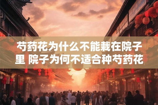 芍药花为什么不能栽在院子里 院子为何不适合种芍药花