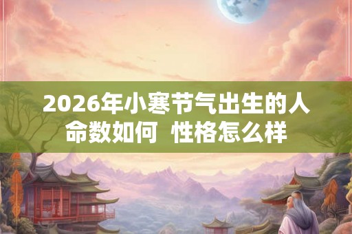 2026年小寒节气出生的人命数如何 性格怎么样 2026年小寒节气出生的人命数如何 性格怎么样