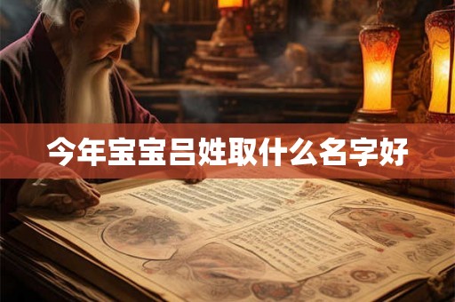 今年宝宝吕姓取什么名字好