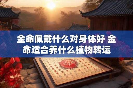 金命佩戴什么对身体好 金命适合养什么植物转运