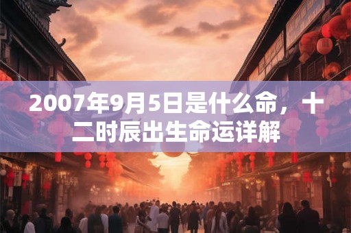 2007年9月5日是什么命，十二时辰出生命运详解