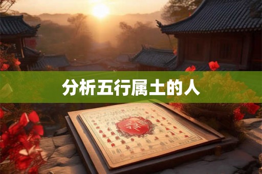 分析五行属土的人