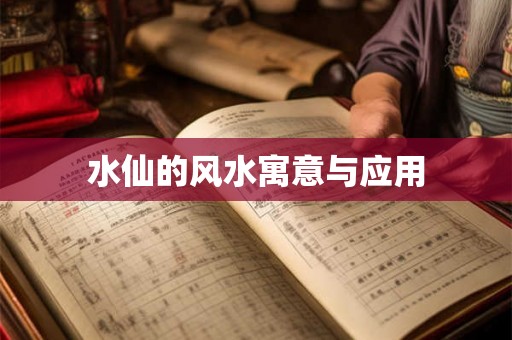 水仙的风水寓意与应用