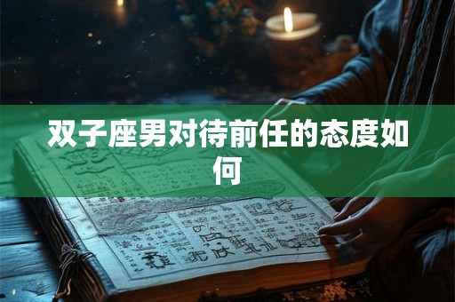 双子座男对待前任的态度如何