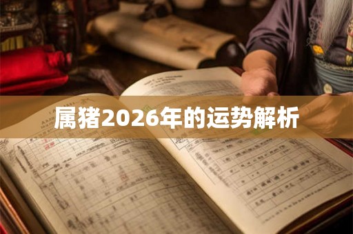 属猪2026年的运势解析