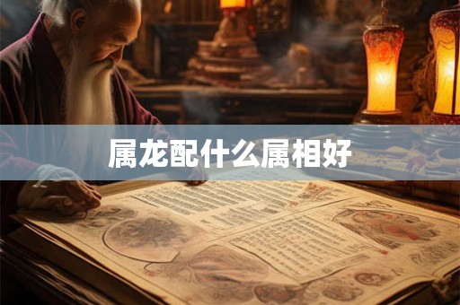 属龙配什么属相好