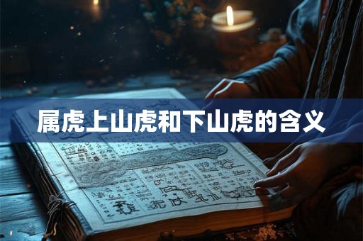 属虎上山虎和下山虎的含义