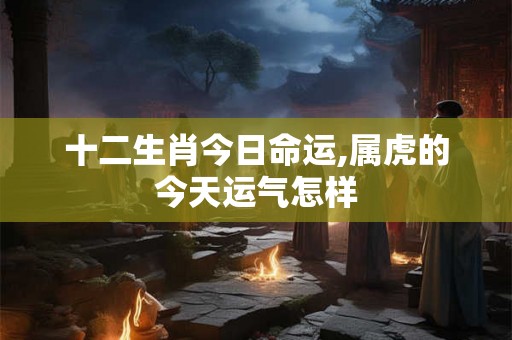十二生肖今日命运,属虎的今天运气怎样