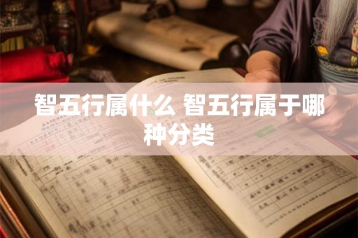 智五行属什么 智五行属于哪种分类