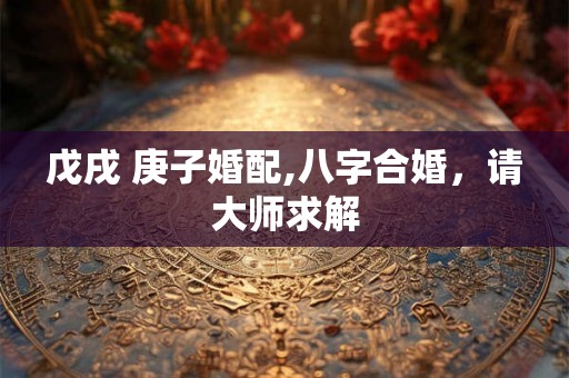戊戌 庚子婚配,八字合婚，请大师求解