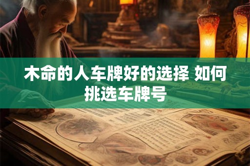 木命的人车牌好的选择 如何挑选车牌号