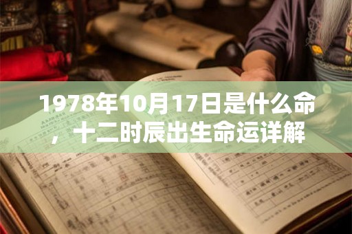 1978年10月17日是什么命，十二时辰出生命运详解